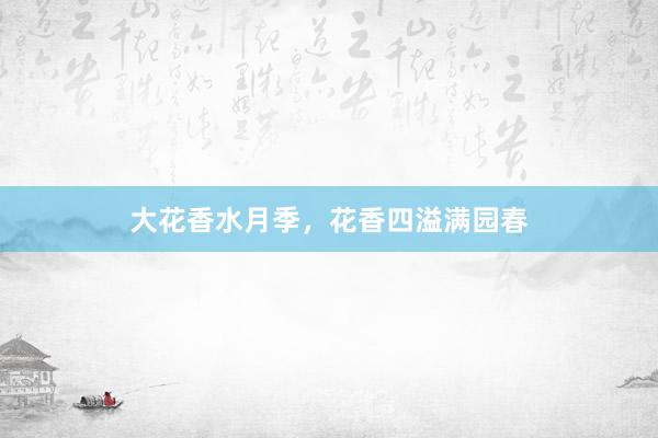 大花香水月季，花香四溢满园春